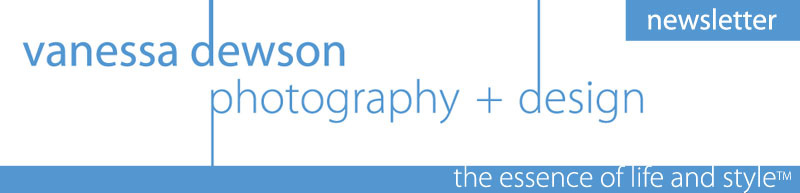 vanessa dewson photography + design